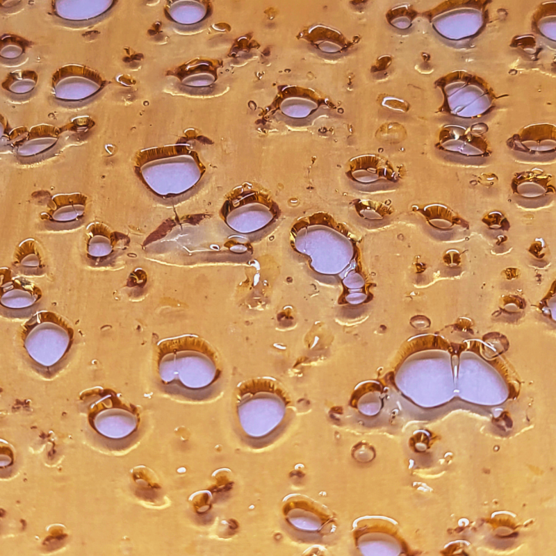 Black Cherry Punch Shatter (Premium)