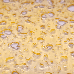 Gelato Shatter (Premium)