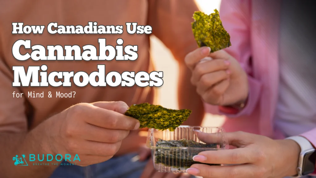 How Canadians are Using Microdosing Cannabis to Improve Mental Health and Focus