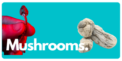 Mushrooms Category