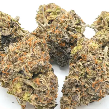 Sour Diesel