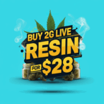 Buy 2g Live Resin For Only $28