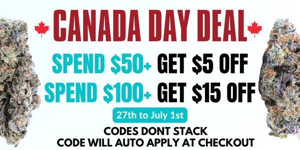 buy 2 get 1 free 28