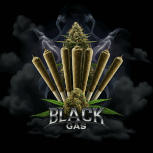 Sour Jamaican Lime Pre-roll Joints (0.7g) - Pack of 5