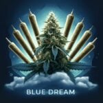Blue Dream Pre-roll Joints (1g) - Pack of 3