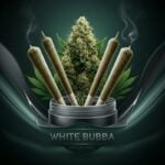 Sour Jamaican Lime Pre-roll Joints (0.7g) - Pack of 5