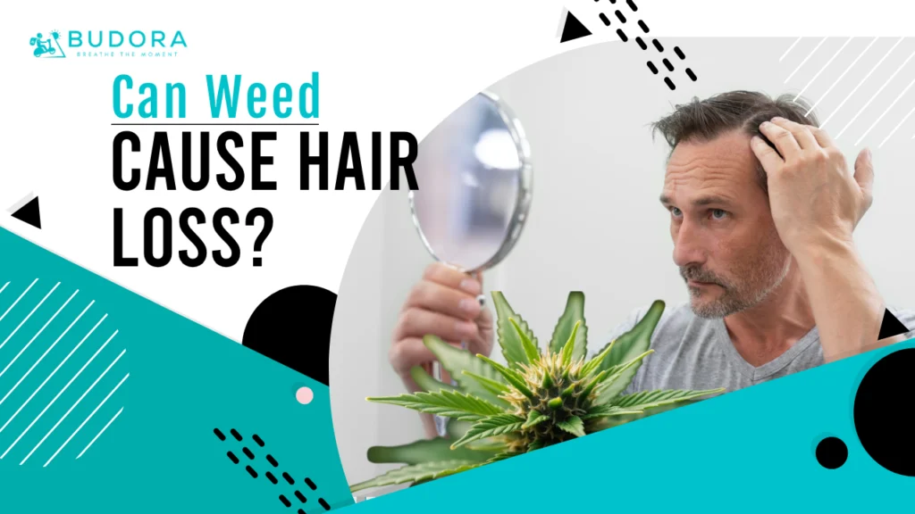 A men inspecting sparse or thinning hair at their hairlines and roots, with close-up shots highlighting strands and scalp.