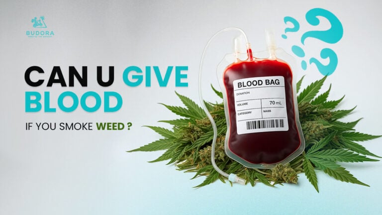 Blood bag on cannabis leaves with text "Can U Give Blood If You Smoke Weed?