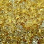 Budora - Weed Delivery Vancouver Same-day marmalade shatter