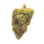 Budora - Weed Delivery Vancouver Same-day master kush new