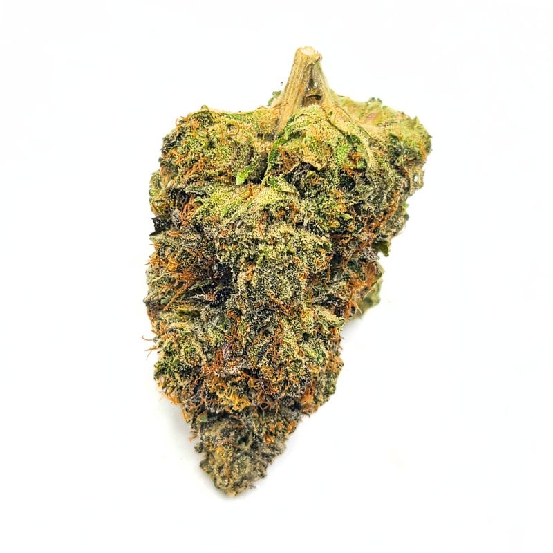 Master Kush AAAA 1 Master Kush AAAA master kush new