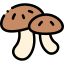 Mushrooms