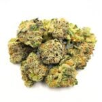 Budora - Weed Delivery Vancouver Same-day tropicana punch