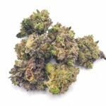 Budora - Weed Delivery Vancouver Same-day white truffle new