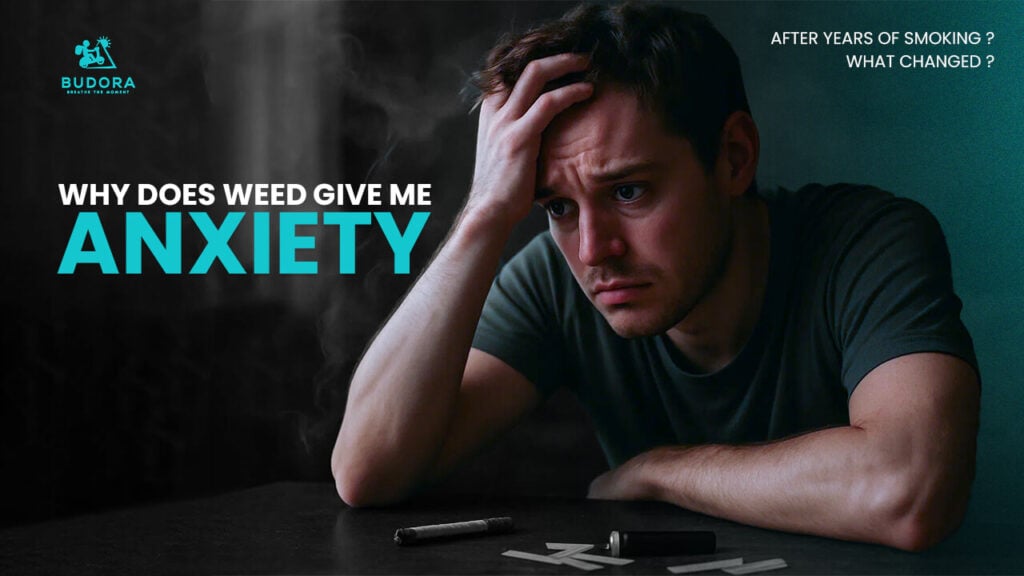 Distressed man with Why Does Weed Give Me Anxiety