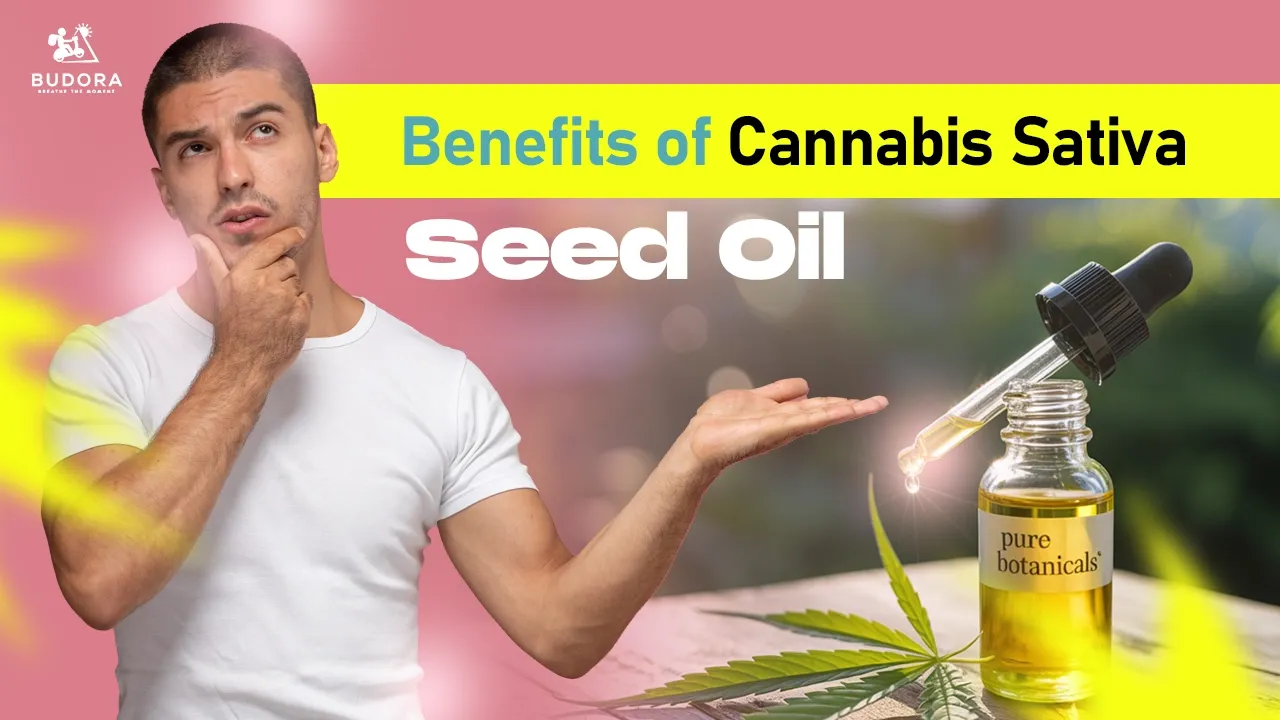 Man looking at cannabis sativa seed oil bottle, Budora guide on benefits.