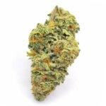 Budora - Weed Delivery Vancouver Same-day bernie hanabutter new