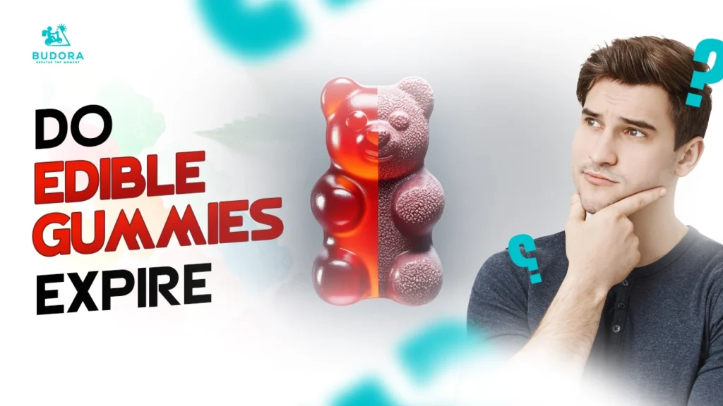 Thoughtful man next to gummy bear, Budora guide on edible gummies expiring.