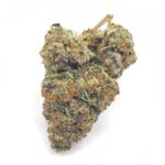Budora - Weed Delivery Vancouver Same-day gelato 33 x sherb