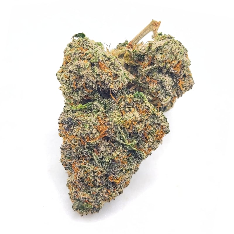 Gelato 33 x Sunset Sherbet LSO AAAA+ 1 Gelato 33 x Sunset Sherbet LSO AAAA+ gelato 33 x sherb