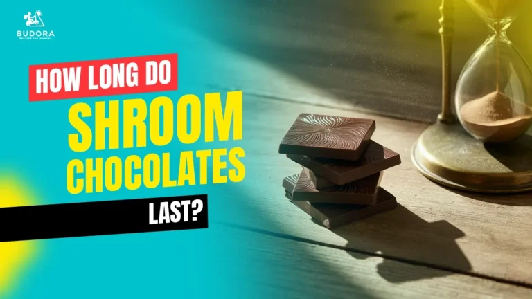 Shroom chocolates and hourglass, Budora guide on how long they last.