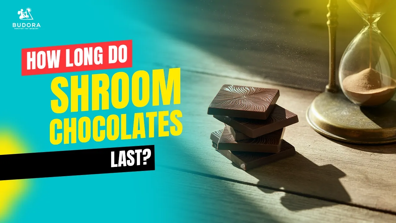 Shroom chocolates and hourglass, Budora guide on how long they last.