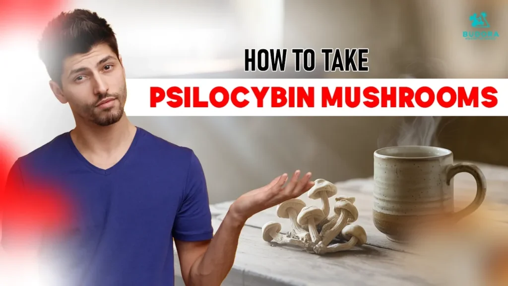 Man with psilocybin mushrooms and a mug, Budora guide on how to take psilocybin mushrooms.