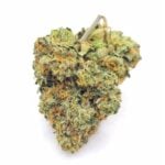Budora - Weed Delivery Vancouver Same-day khalifa kush new