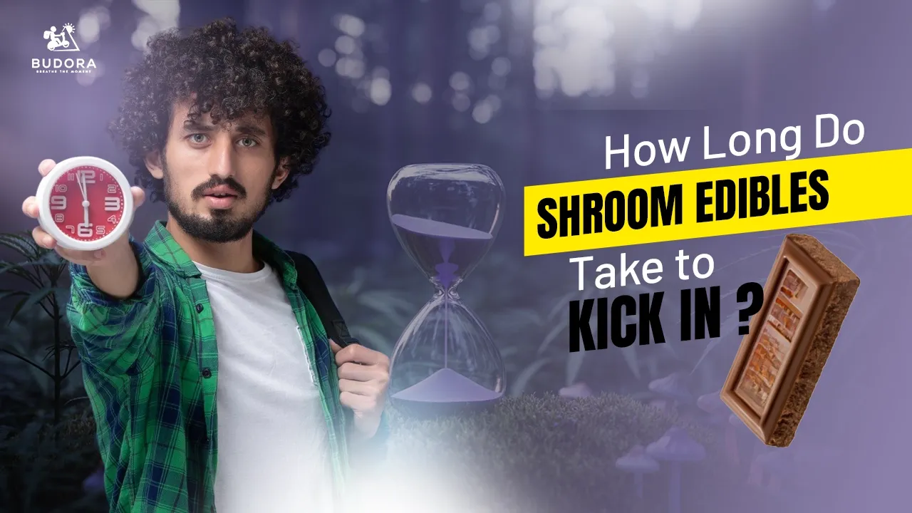 Man with clock, asking 'How Long Do SHROOM EDIBLES Take to KICK IN?