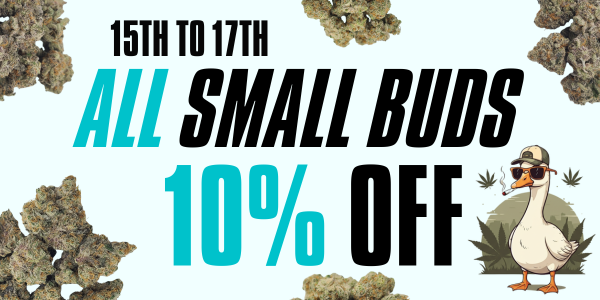 Budora - Weed Delivery Vancouver Same-day small buds 10 off