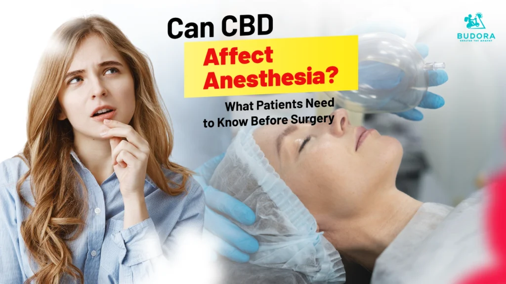 Can CBD Affect Anesthesia? What Patients Need to Know Before Surgery