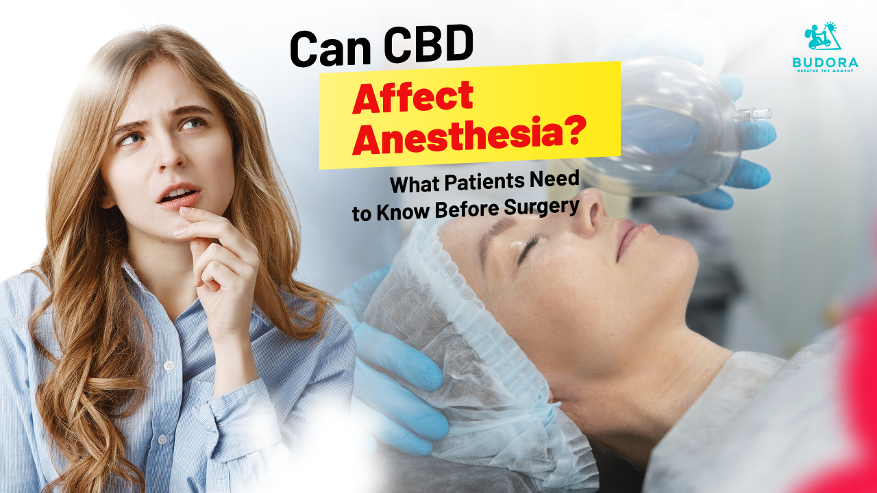 Can CBD Affect Anesthesia? What Patients Need to Know Before Surgery