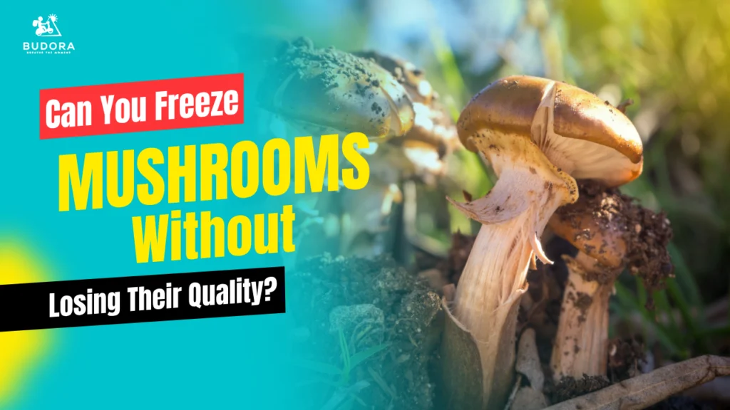 Can You Freeze Mushrooms Without Losing Their Quality?