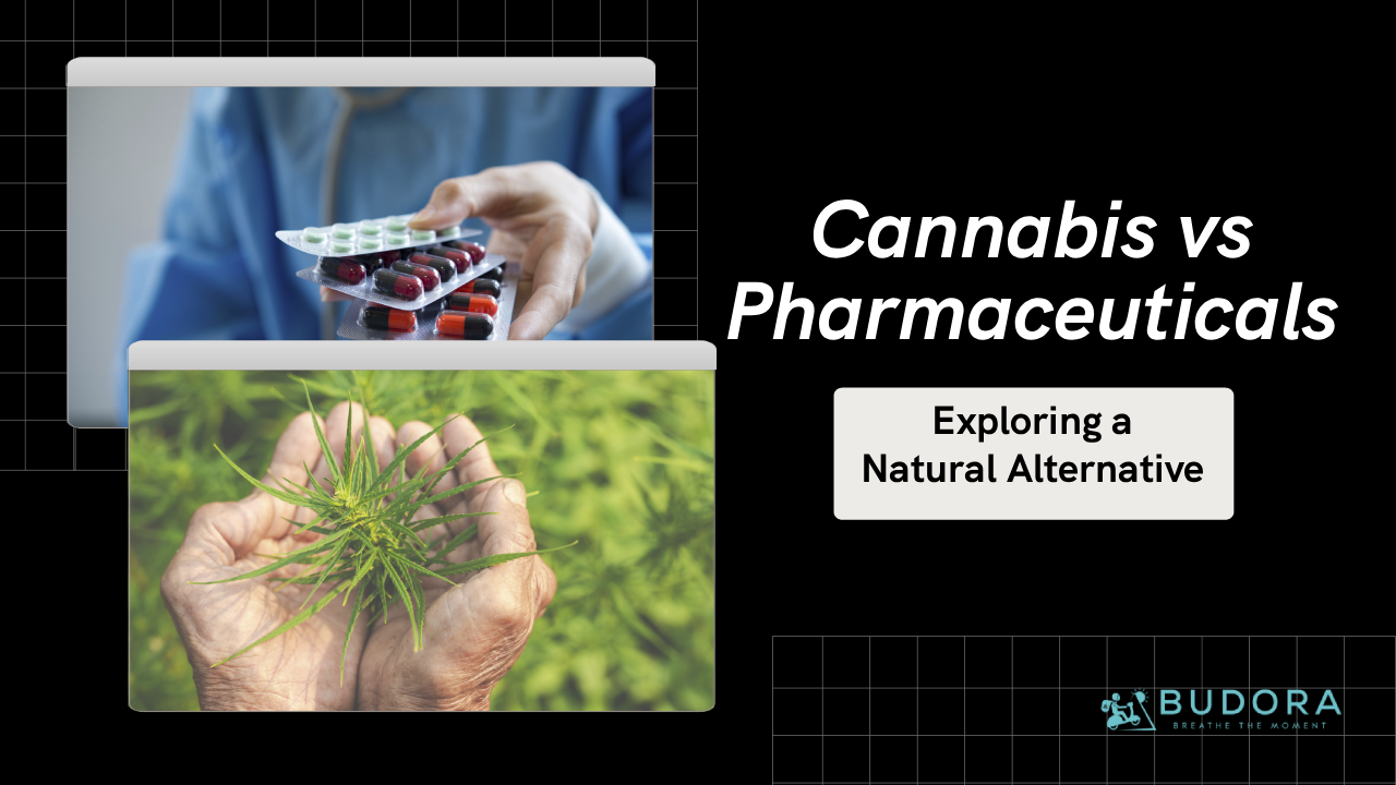 Cannabis vs Pharmaceuticals: Exploring a Natural Alternative