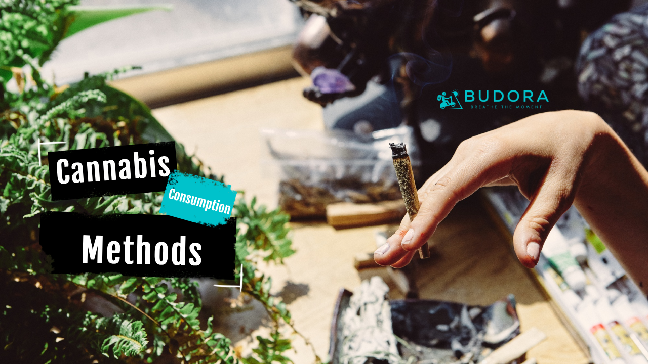 Eco-Friendly Cannabis Consumption methods: Modern Devices for Smokers