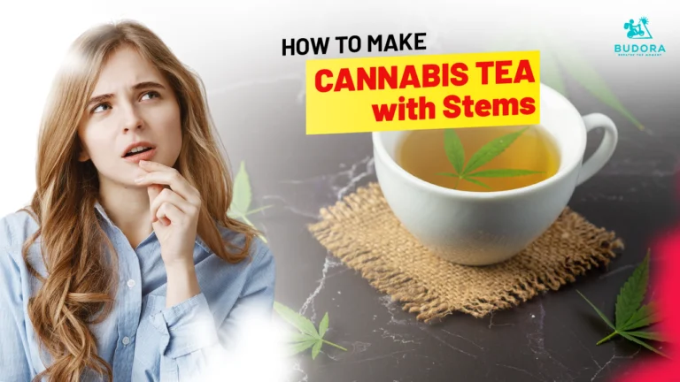 How to Make Cannabis Tea with Stems: A Complete Guide