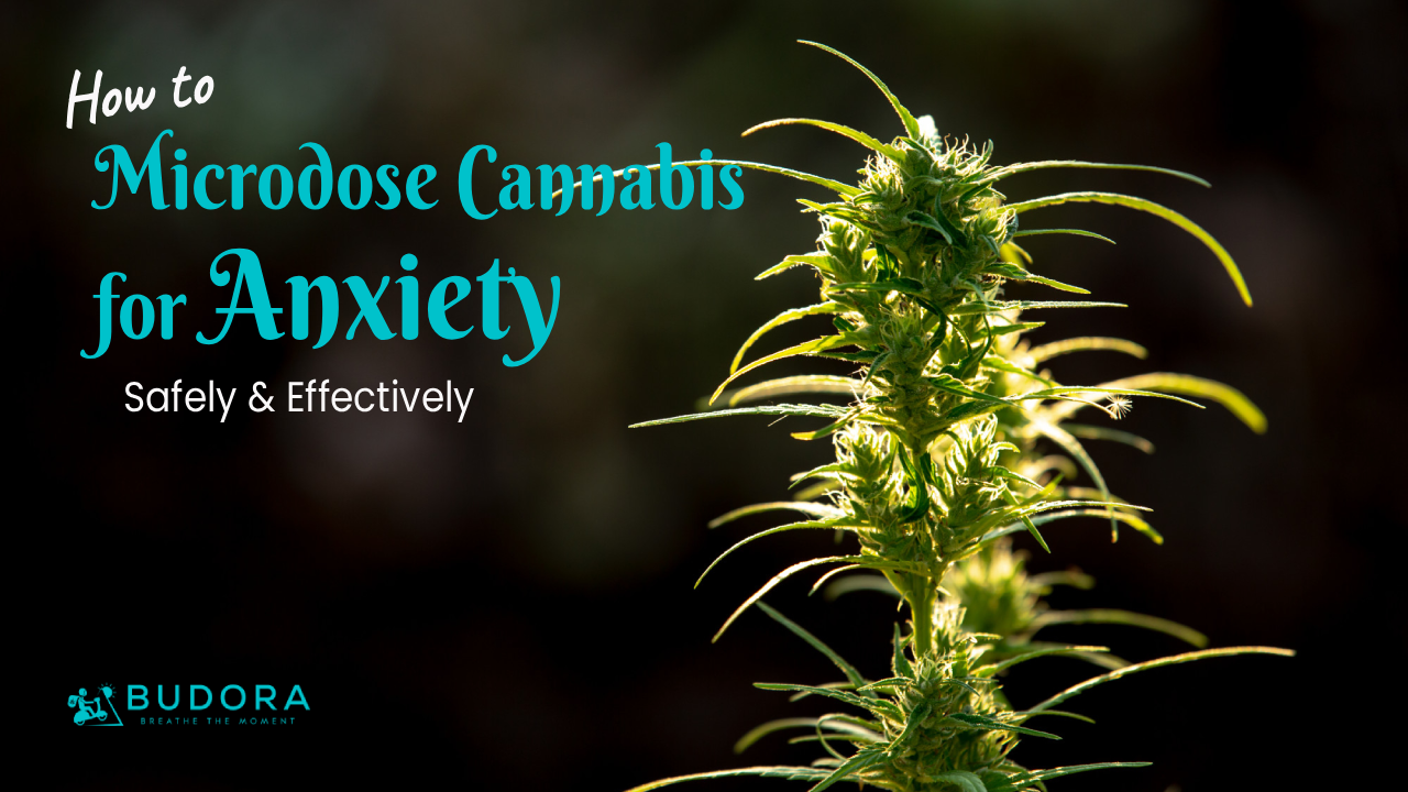 how to microdose cannabis for anxiety