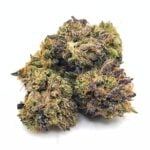 Budora - Weed Delivery Vancouver Same-day permanent marker smalls new