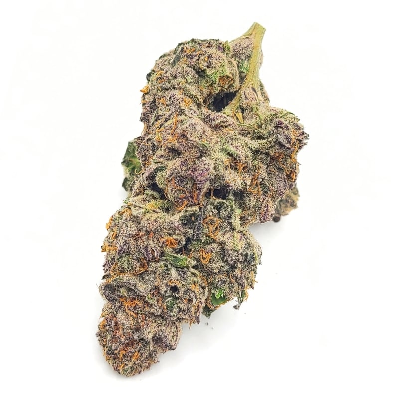 Budora Mail-Order Service in Nova Scotia Confetti Cloudz aaaa