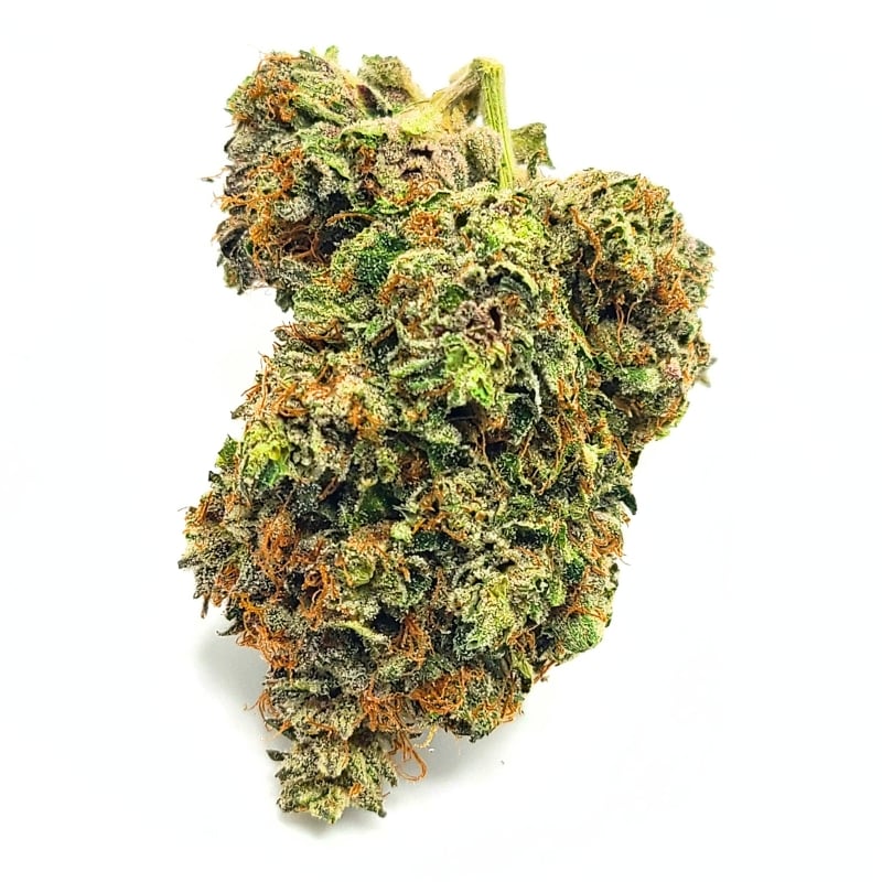 Mail-Order Weed Delivery in Tourist Hotspots Lindsey Og