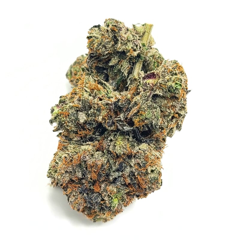 OG Shark AAAA+ OG Shark aaaa