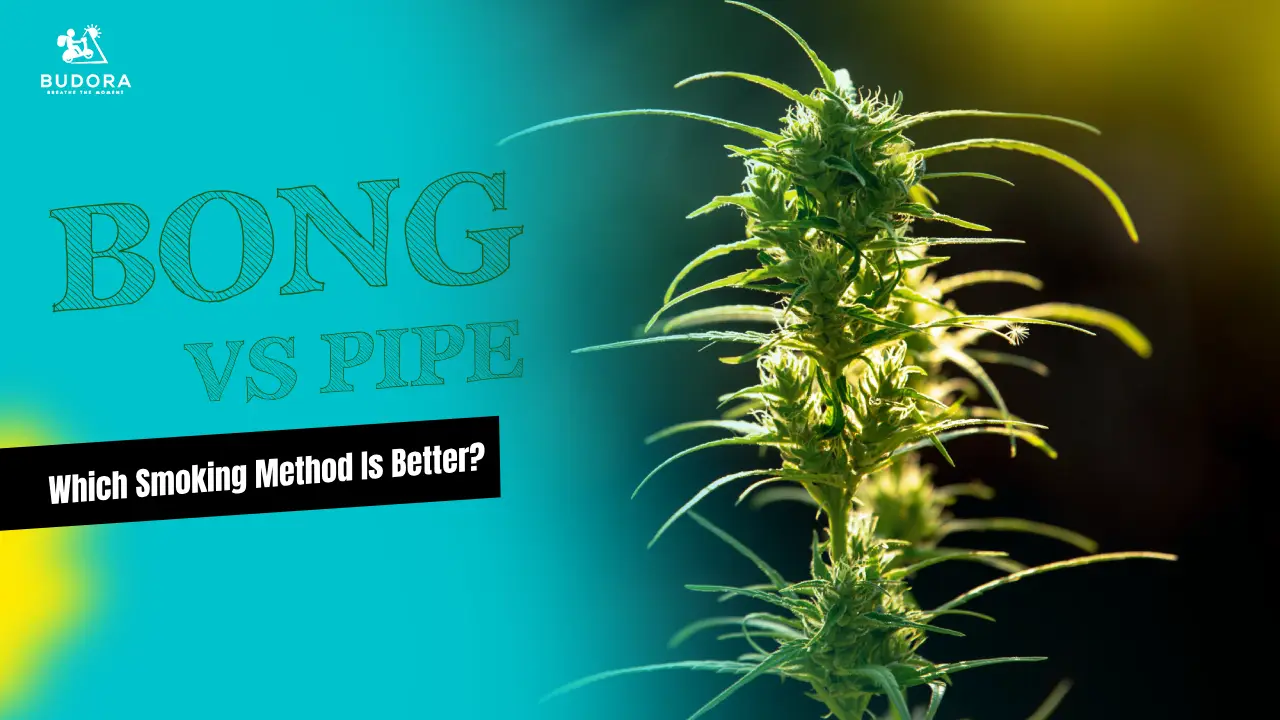 Bong vs Pipe: Which Smoking Method Is Better?