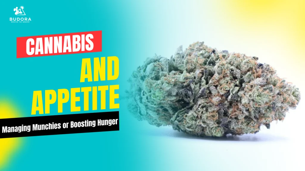 Cannabis and Appetite: Managing Munchies or Boosting Hunger