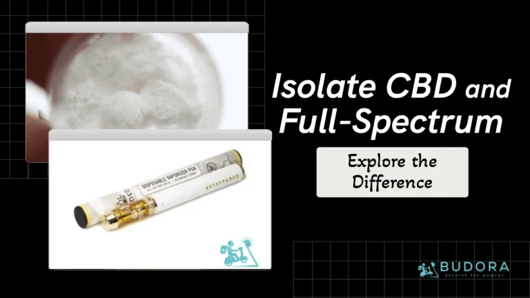 Difference Between Isolate CBD and Full-Spectrum