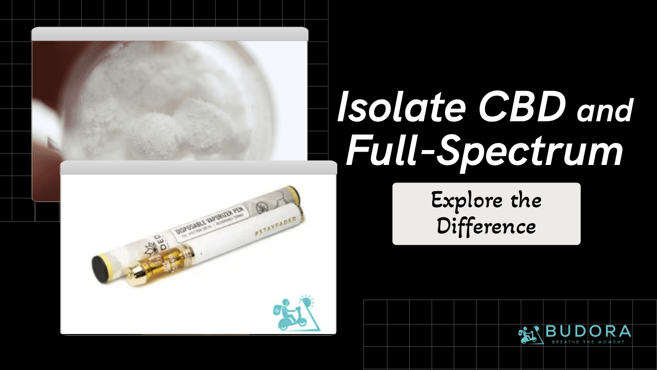 Difference Between Isolate CBD and Full-Spectrum