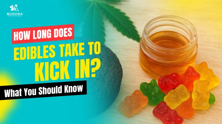 How Long Does Edibles Take to Kick In? What You Should Know