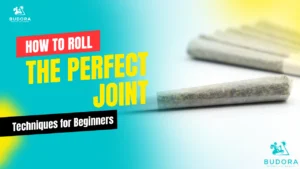 How to Roll the Perfect Joint: Step-by-Step Techniques for Beginners
