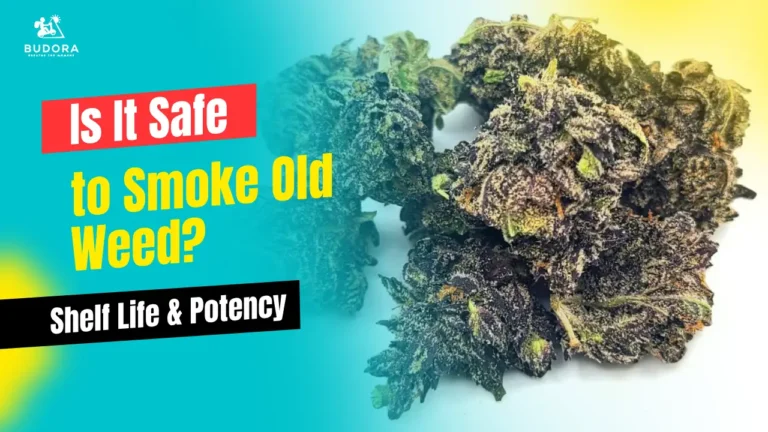 Is It Safe to Smoke Old Weed? Shelf Life and Potency