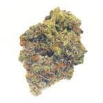 Budora - Weed Delivery Vancouver Same-day 21 master kush ultra new 1 Budora - Weed Delivery Vancouver Same-day master kush ultra new 1