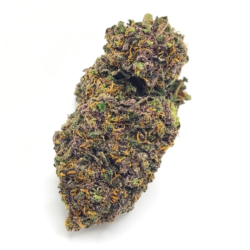 Sunset Sherbert AAA+ 1 sunset sherbert aaa Sunset Sherbert AAA+ sunset sherbert aaa